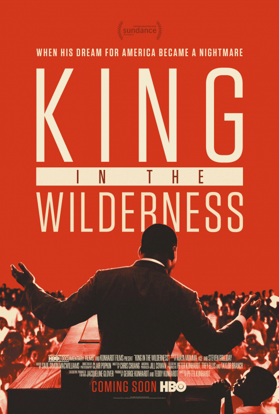 King in the Wilderness promo poster